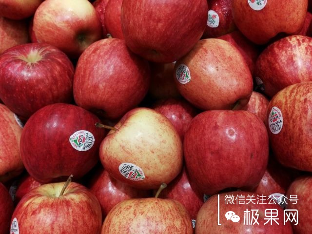 翻转吧摄像头，前后都能照出完美的照片：荣耀7i体验