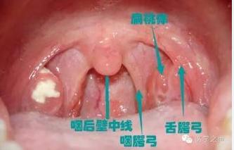 小儿高烧40度，我用“蛋滚疗法”半小时退烧，宝爸宝妈快快收藏