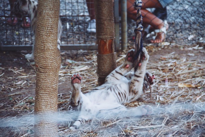 毛里求斯旅游度假区,毛里求斯旅行感觉