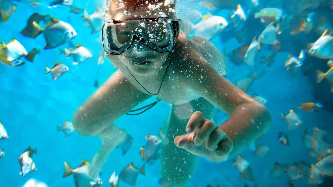 毛里求斯旅游度假区,毛里求斯旅行感觉