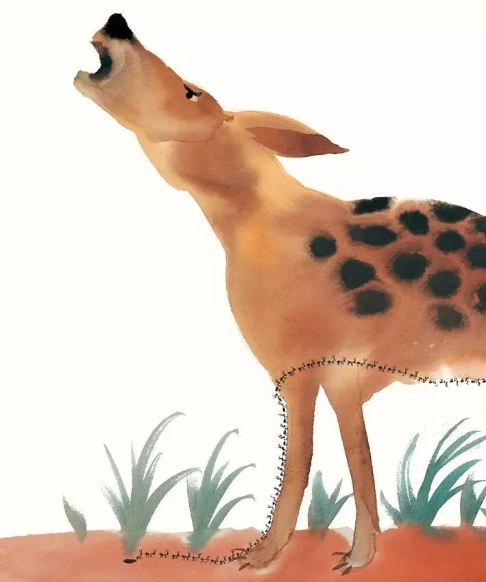 看很坏很坏的鳄鱼如何变得很乖很乖，让孩子学会发现自己的闪光点