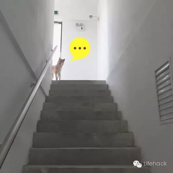 越长越丑的男生怎么变帅,又黑又丑的男生怎么逆袭