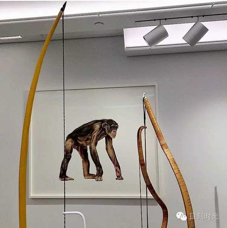 那是一把爱情的弓箭