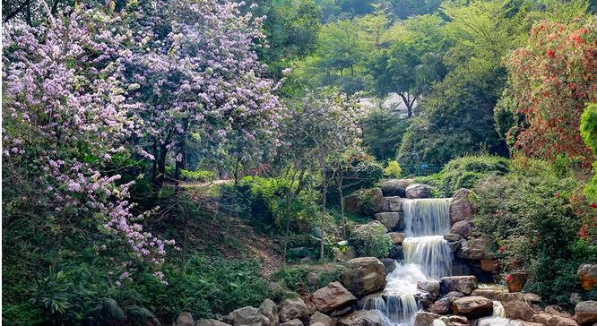 外出踏青正当时,帽峰山森林公园踏青
