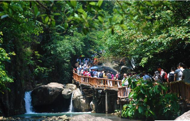 外出踏青正当时,帽峰山森林公园踏青