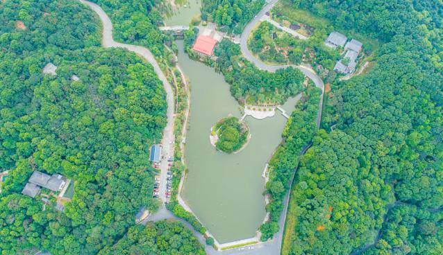 外出踏青正当时,帽峰山森林公园踏青