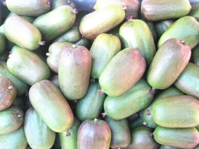 软枣猕猴桃七大禁忌广告,猕猴桃管理风险及防范措施