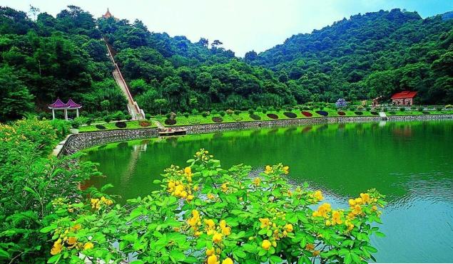 外出踏青正当时,帽峰山森林公园踏青