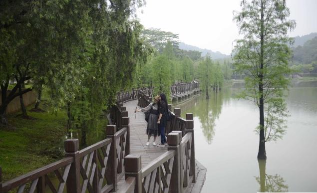 外出踏青正当时,帽峰山森林公园踏青