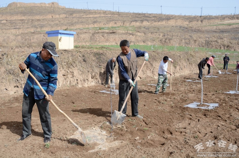 会宁县着力提升驻村帮扶管理水平,以高质量管理推动驻村帮扶工作