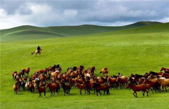 扎鲁特旗山地草原风景,内蒙古通辽市扎鲁特旗草原