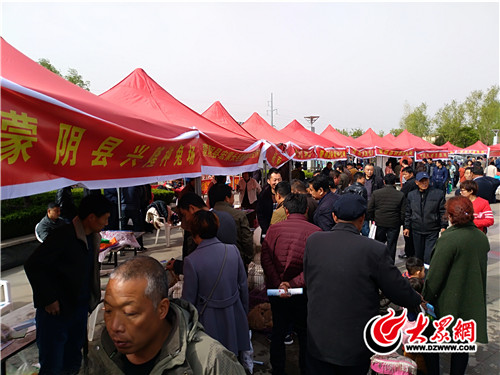 “兔王”云集第三届中国长毛兔产业发展大会在蒙阴举行