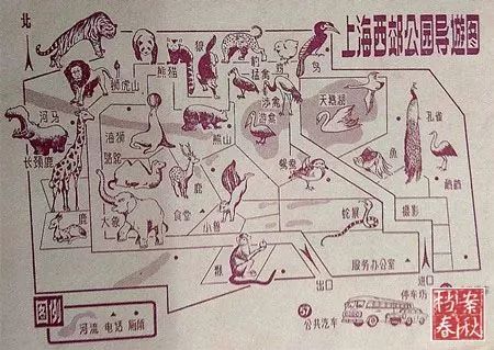 上海西郊公园90年代,以前上海西郊公园在哪里