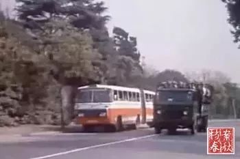 上海西郊公园90年代,以前上海西郊公园在哪里