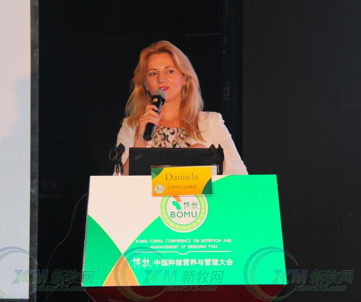 Dr.Daniela：仔猪头三天的管理及对后续生产的影响