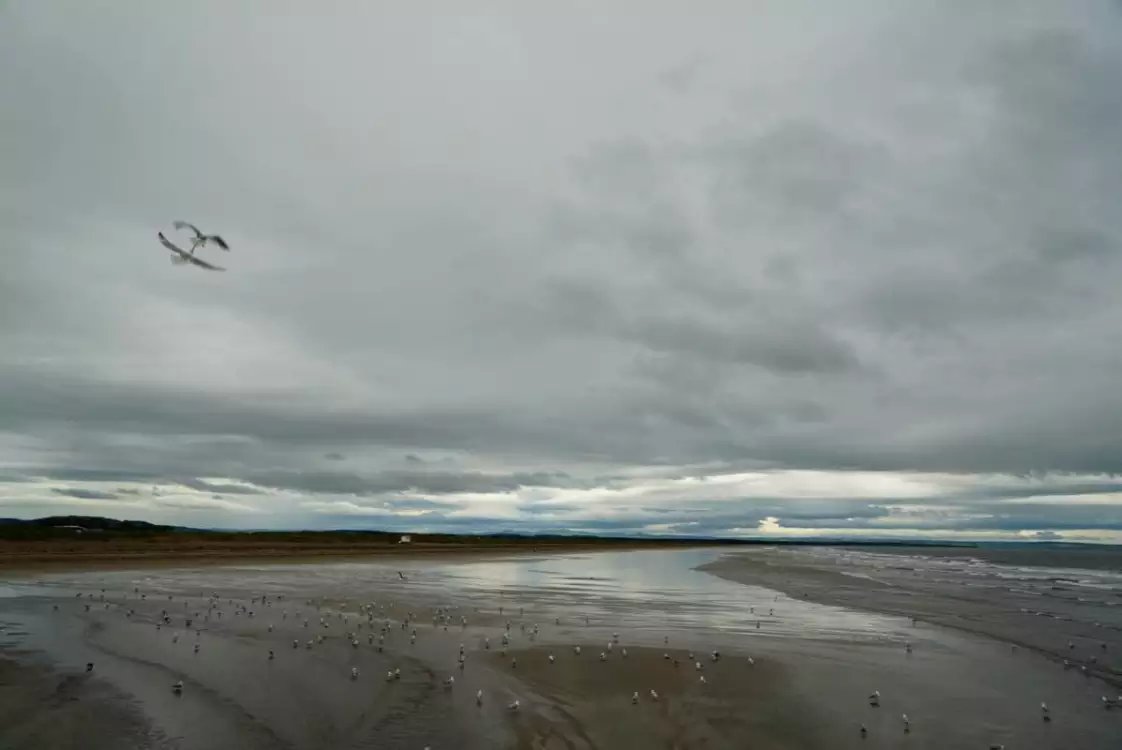 我意外发现治疗咽喉炎的妙方