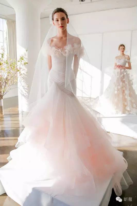 焦糖色欧根纱,欧根纱小众