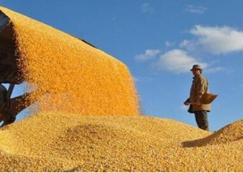 现在搞什么农业项目赚钱,农村现在搞什么农业赚钱