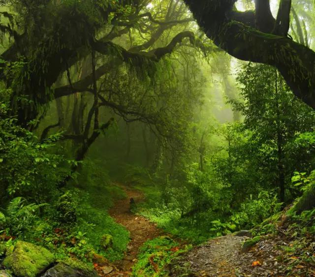 燕子沟有哪些好玩的地方,燕子沟云海风景