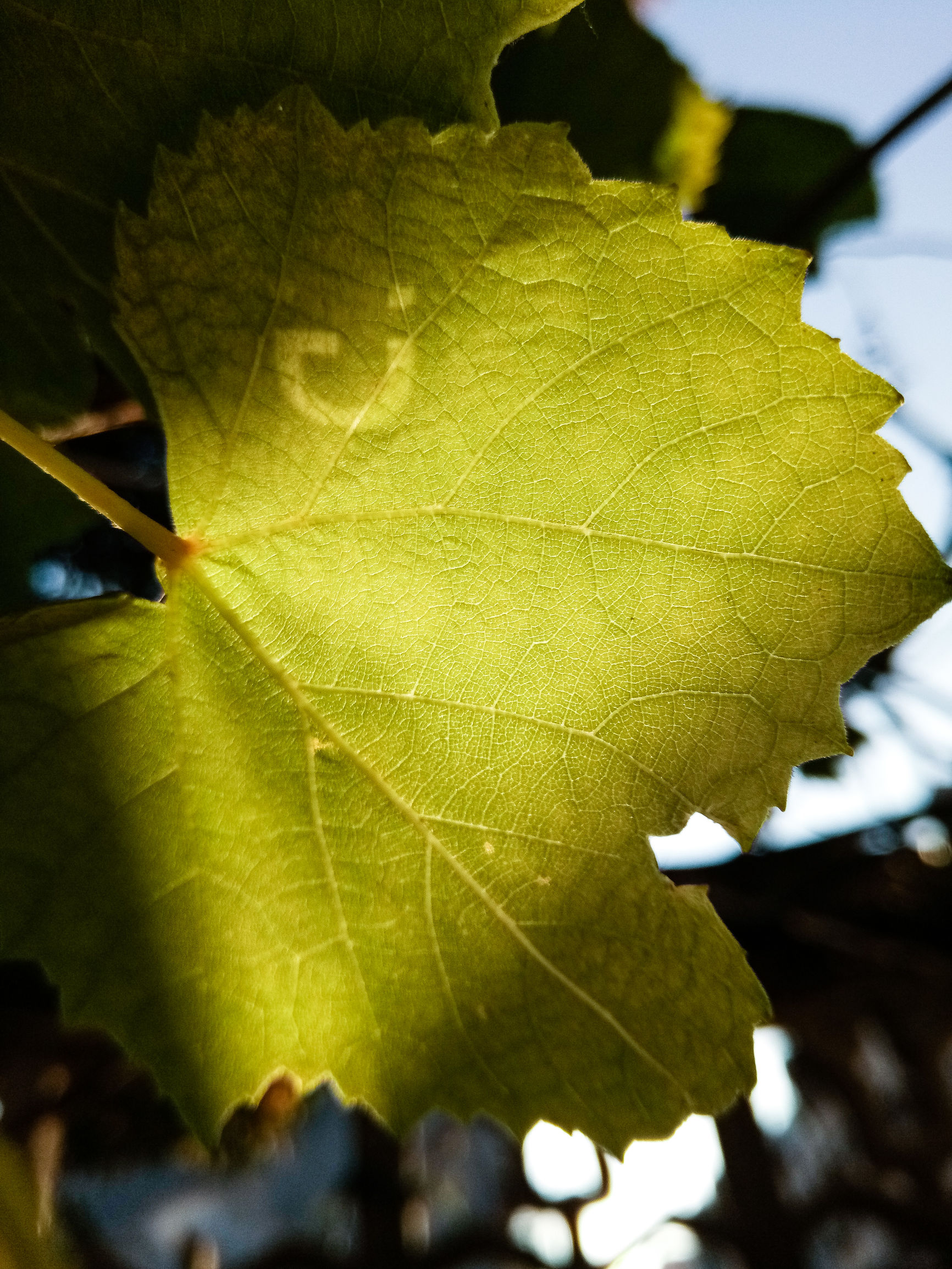 国产手感好的手机,金立s6pro全网通