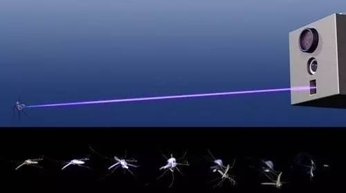 埃及艳后发明了什么,埃及艳后发明了什么药