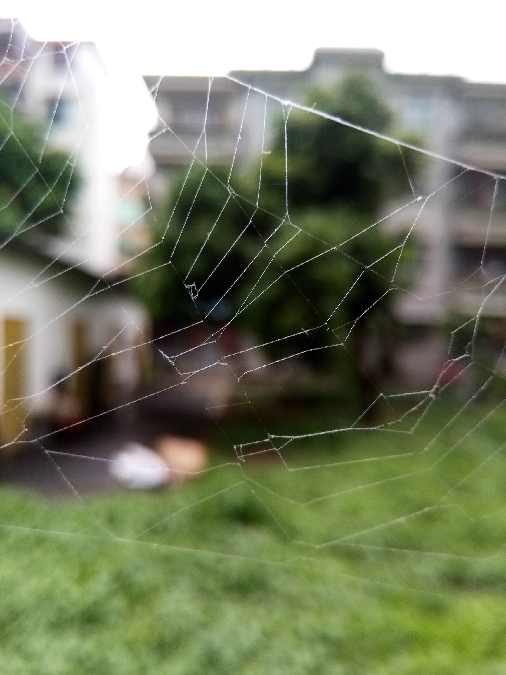 国产手感好的手机,金立s6pro全网通