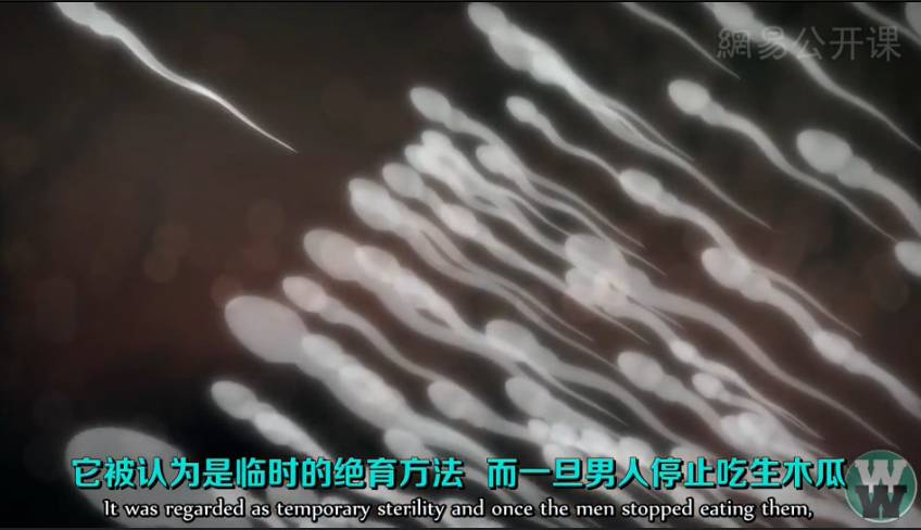 世界上最不安全的避孕方式,世界上有新型避孕方法吗