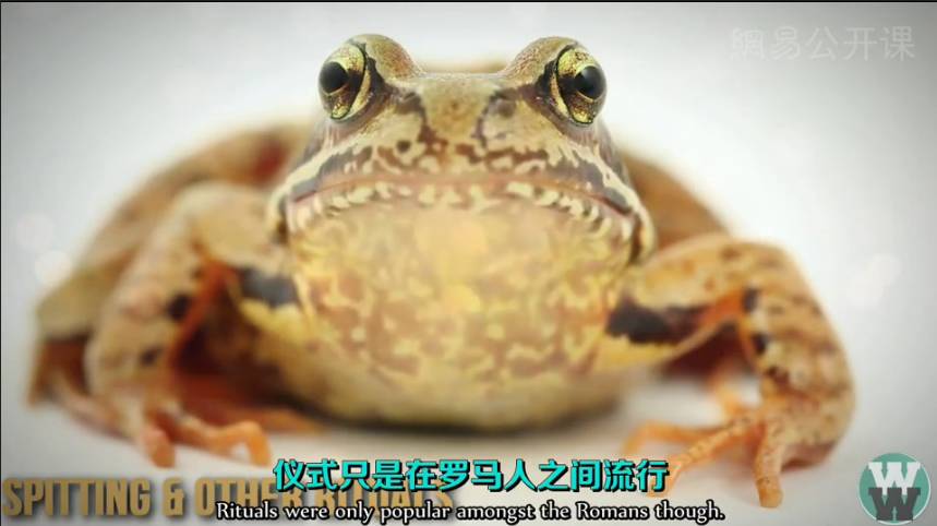 世界上最不安全的避孕方式,世界上有新型避孕方法吗