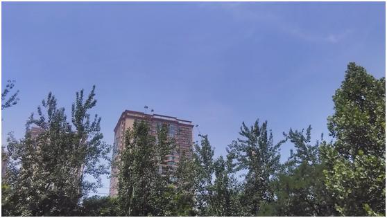 高清语音视频通话499元中国移动A1s体验评测