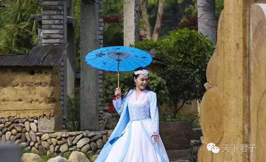 仙县仙女仙叶----青钱柳考察记—糖尿病患者的福音