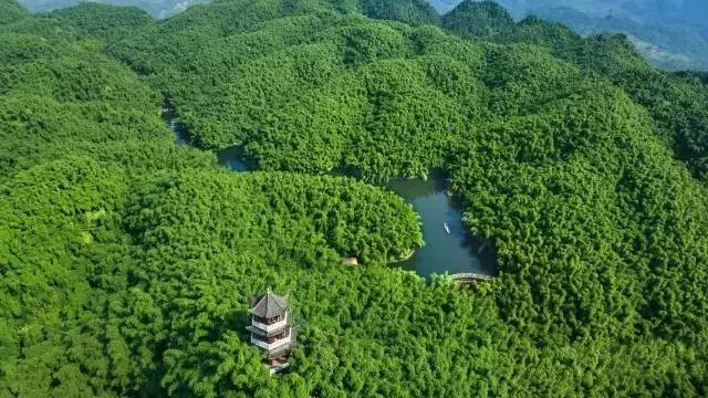 川西竹海清爽一夏,来这个岁月静好的夏日度假地