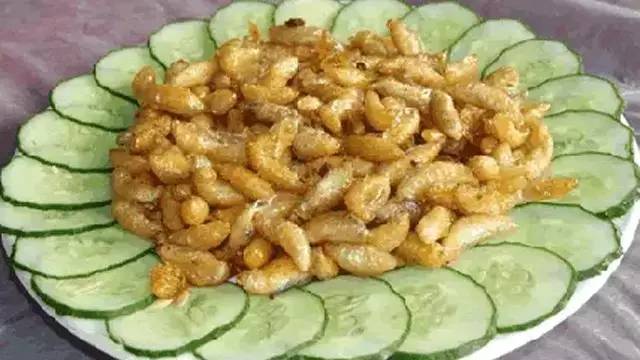 川西竹海清爽一夏,来这个岁月静好的夏日度假地