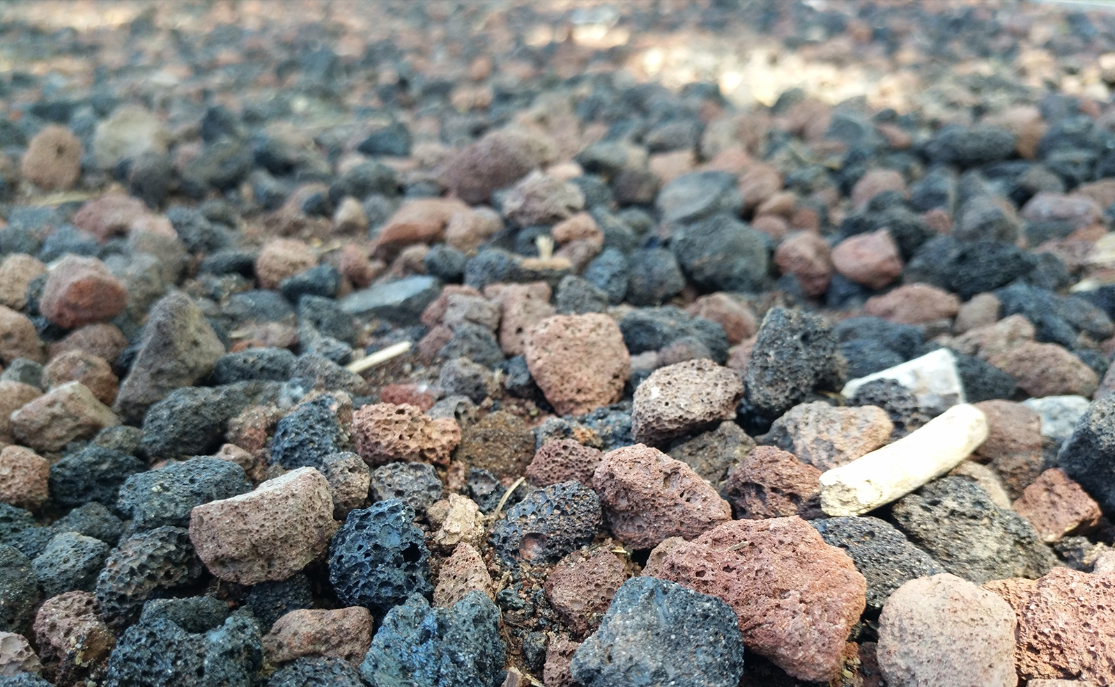 乐max2发售价格,乐max2发布价格