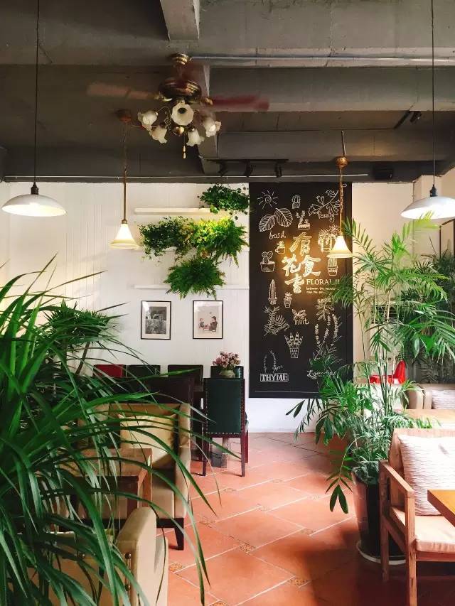 厦门三个女生开了家超美川菜馆，一道水煮肉片就收下无数膝盖！