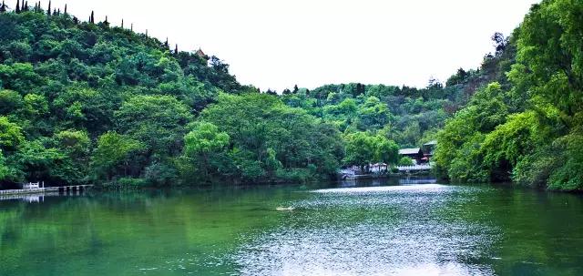 一封来自90后的辞职信,一封来自网友辞职信