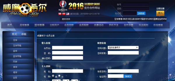 你所不知道的暴利行业,欧洲杯带来的国内商机