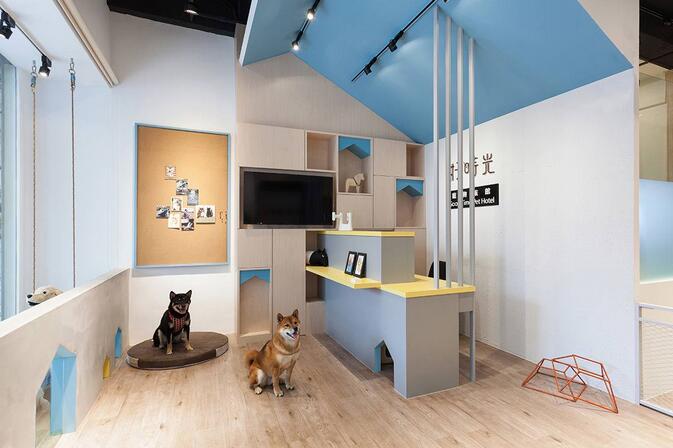 给宠物设计房子,汪星人宠物屋