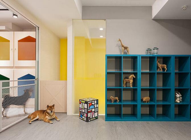 给宠物设计房子,汪星人宠物屋