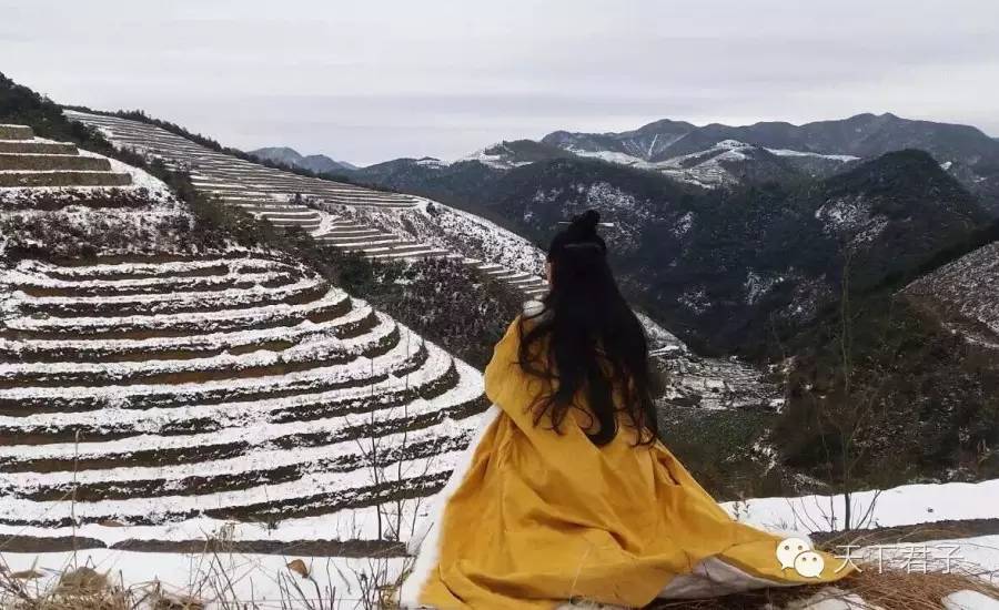 仙县仙女仙叶----青钱柳考察记—糖尿病患者的福音