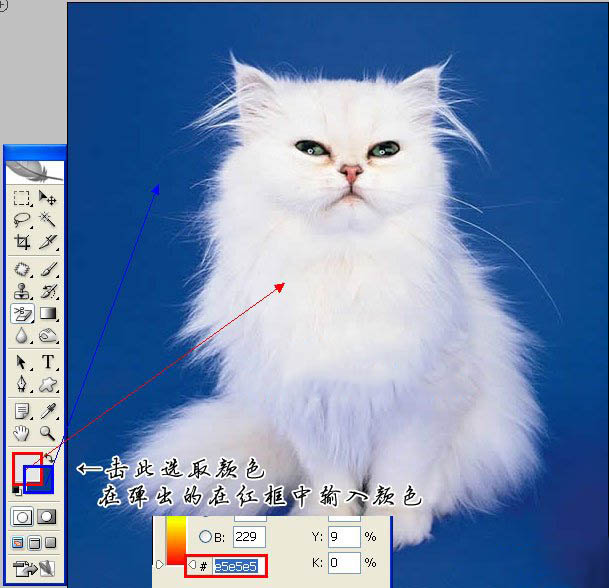 ps基础课程橡皮擦工具的简单介绍,ps里面橡皮擦工具怎么设置成白色