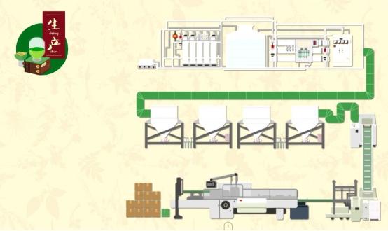 探秘地下核工厂,两面针生产线