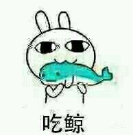 iphone系列哪个手机最重,苹果手机最重的是什么型号