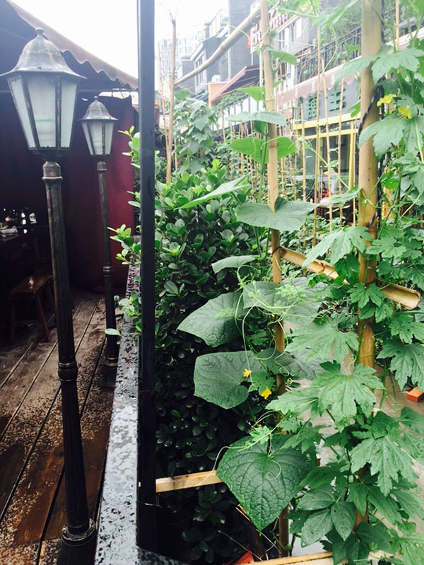 巴南美食打卡地推荐附近,资深吃货才能找到的地方