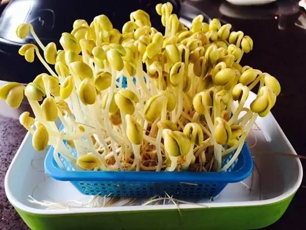 巴南美食打卡地推荐附近,资深吃货才能找到的地方