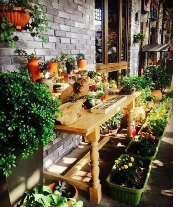 重庆素食馆自助餐排行榜,重庆素食主义餐厅推荐