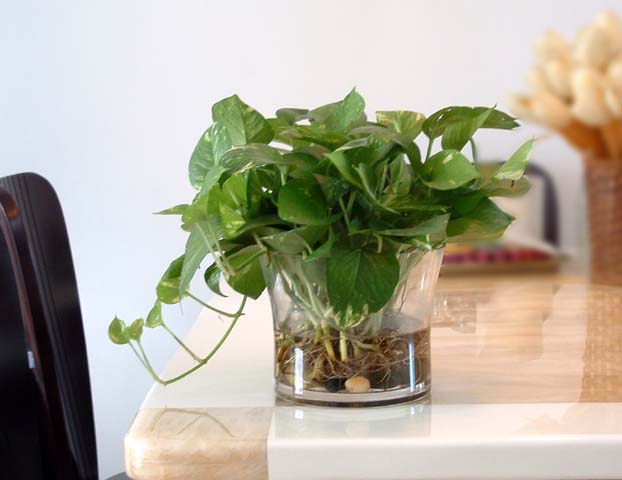 夏日厨房降温,小厨房夏天怎么降温