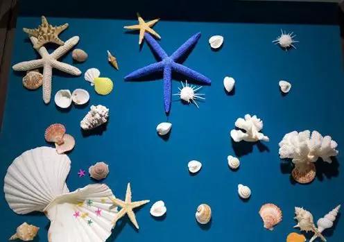 冬天青岛有什么好玩的地方,青岛冬天好玩儿的地方