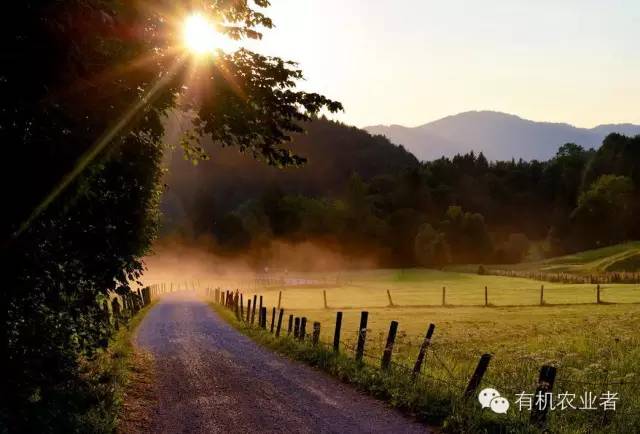 曾经结伴同行,曾经一起走过的路图片