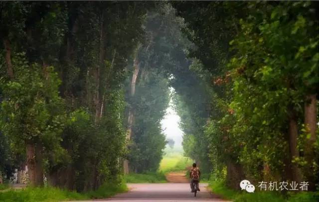 曾经结伴同行,曾经一起走过的路图片