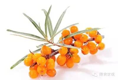 喝沙棘汁和柠檬汁哪个好,最好喝沙棘汁